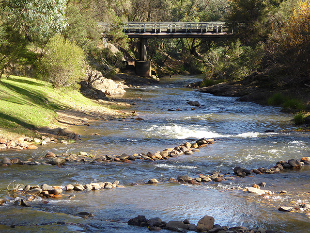 Bridge ViewPhotography by Sharon Alston